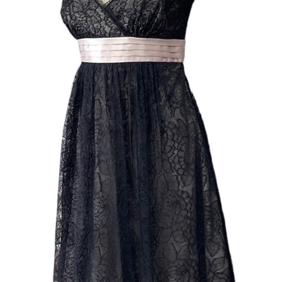 BCBG Max Azria lace and silk party dress. Rare. - Picture 6 of 6